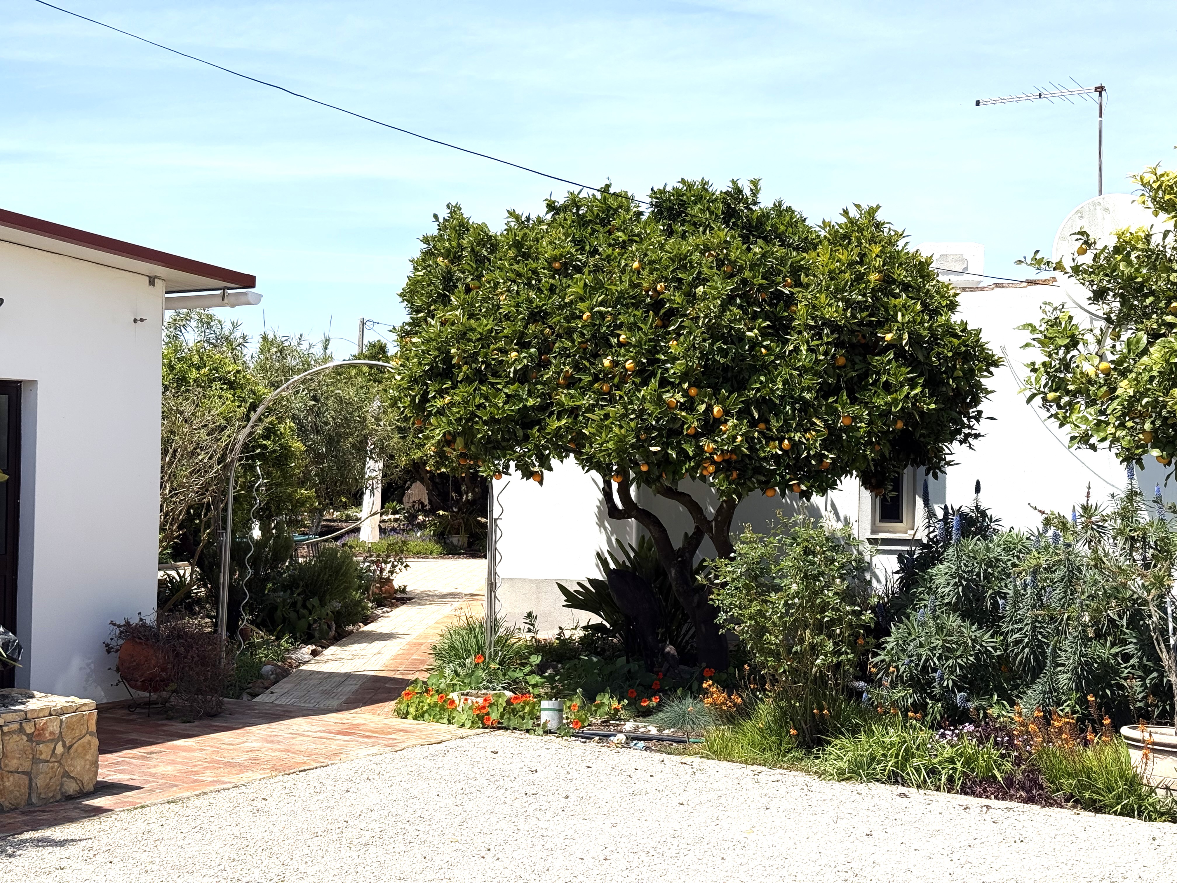 Luxury Two Bedroom Quinta with Wooden Cottage & Plunge Pool - Luz de Tavira Luxury Two Bedroom Quinta with Wooden Cottage & Plunge Pool - Luz de Tavira