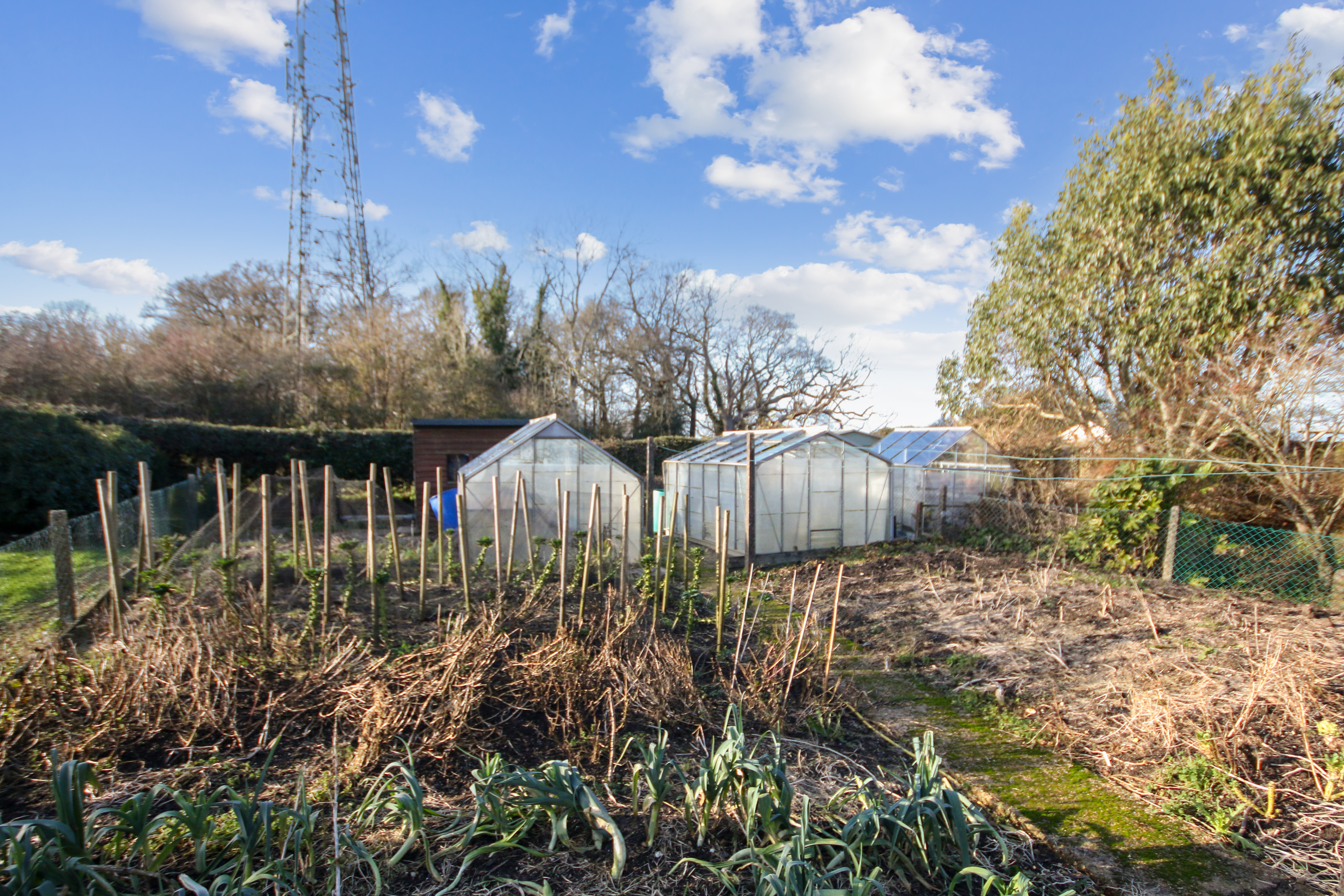 Broad Field, East Grinstead, West Sussex