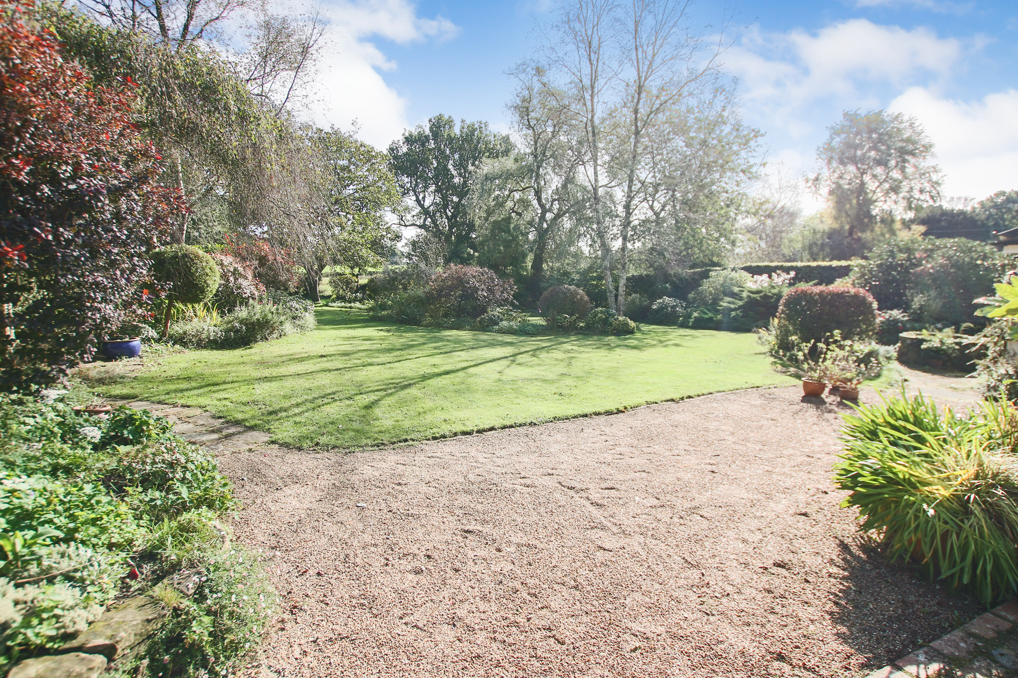 Selsfield Common, East Grinstead, West Sussex