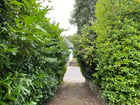 Thumb Image 11
