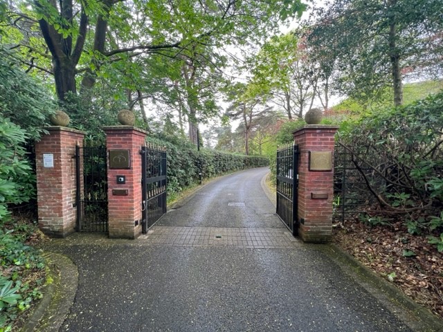 Image 16