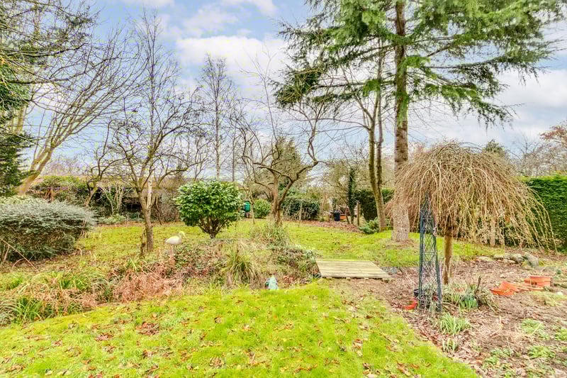 Property Image 45