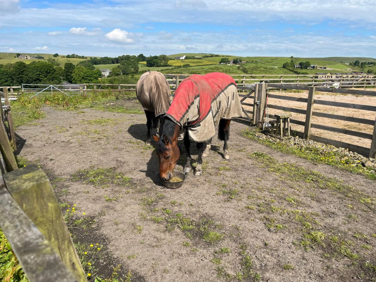 North Farm, Hargreaves Fold Lane, Rossendale, BB4 9RU