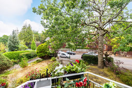 St Winifreds Court | Thumbnail