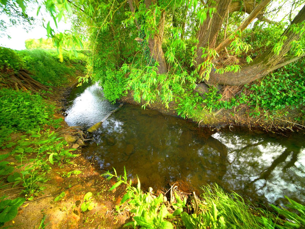 Priory Cottage, Pontefract Road, Pontefract, WF7 7EF