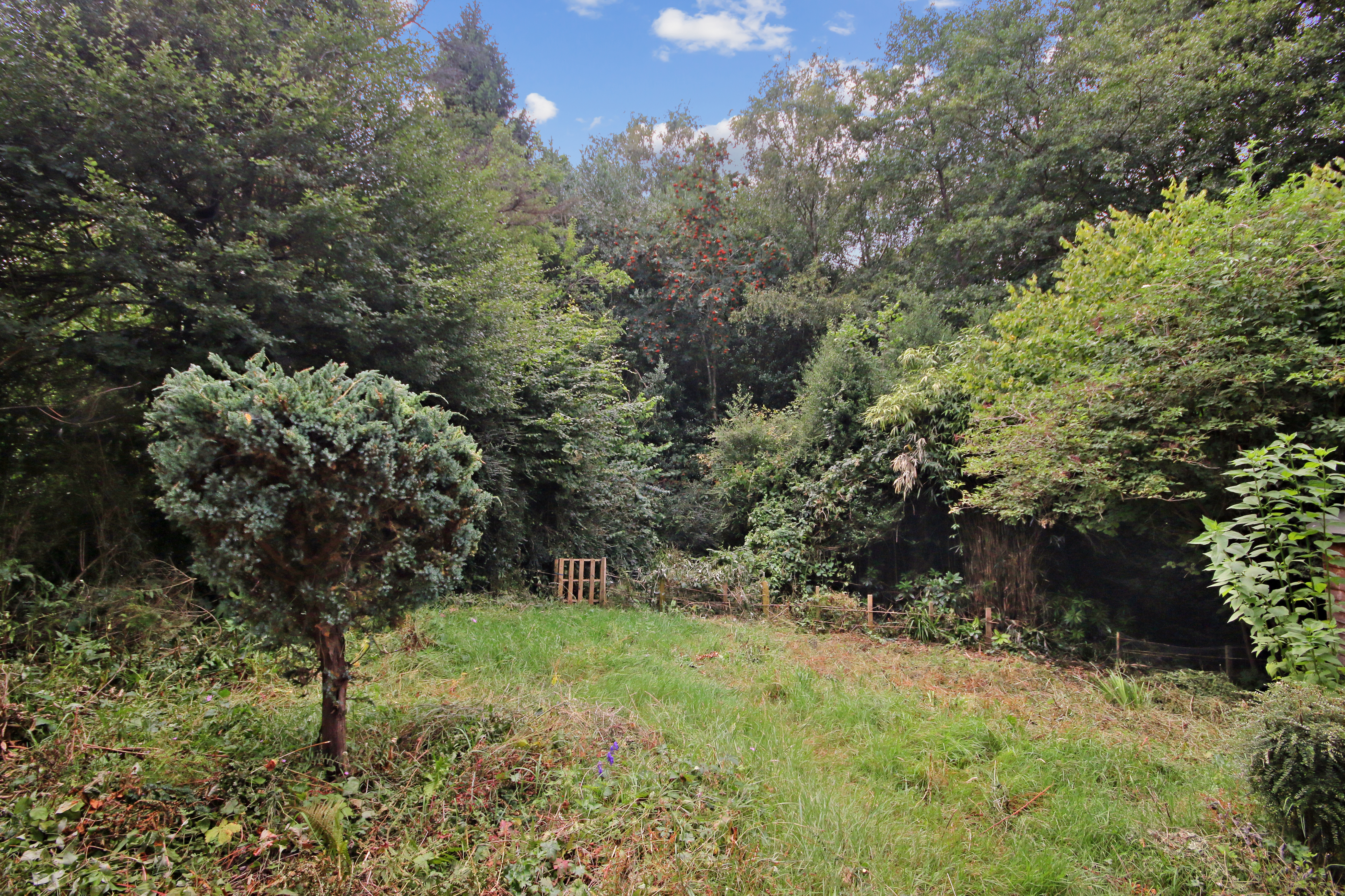 Freshfield Bank, Forest Row, East Sussex