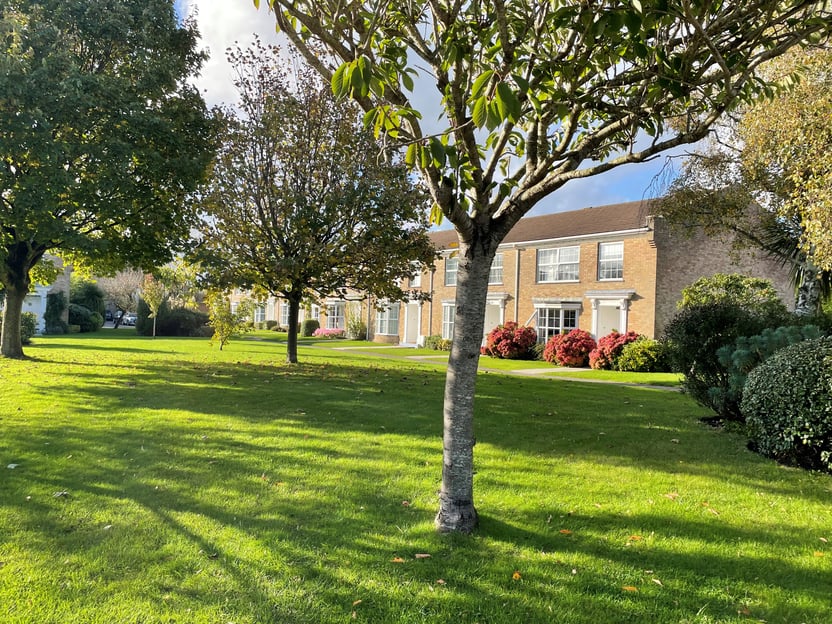 Image 21
