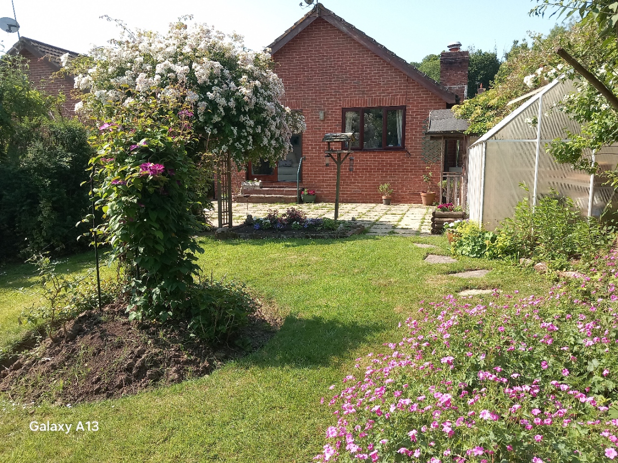 Bayhams Field, East Grinstead, West Sussex