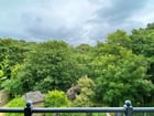 Thumb Image 13
