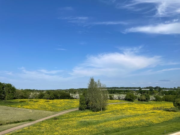 Blyton Lane, Milton Keynes, Buckinghamshire Image