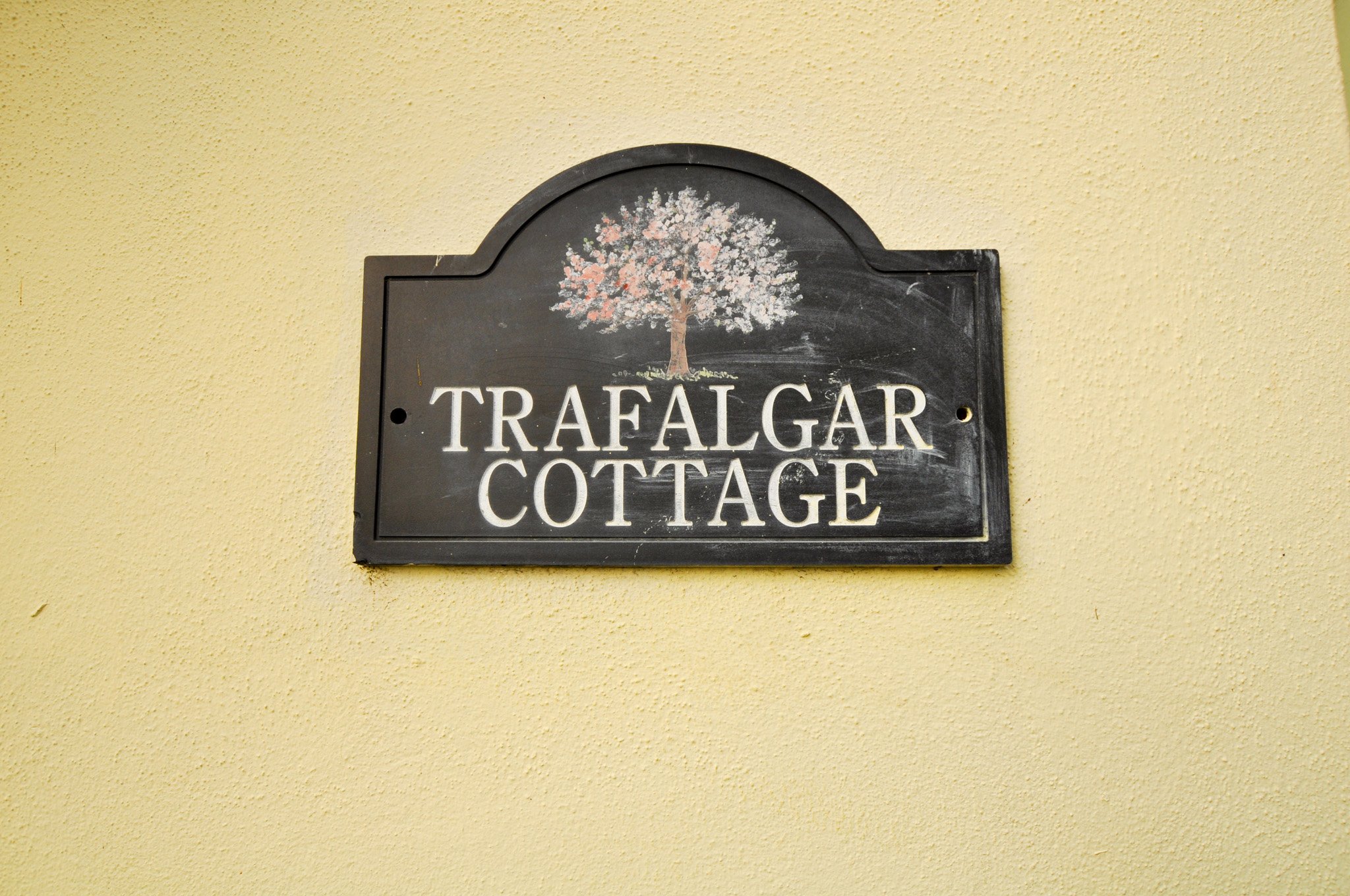 Back Lane, Sturminster Marshall Fisks