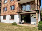 Thumb Image 17