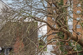 Athelney Court | Thumbnail