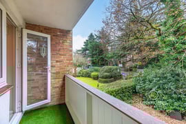 Woodland Court | Thumbnail