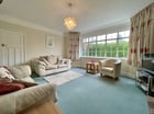 Thumb Image 6