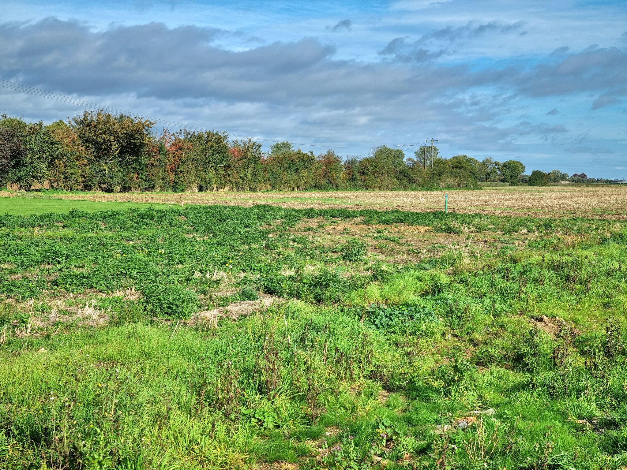Eastgate, Deeping St James, Market Deeping Briggs Residential
