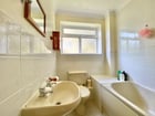 Thumb Image 11