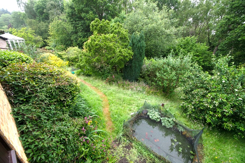 Property Image 15
