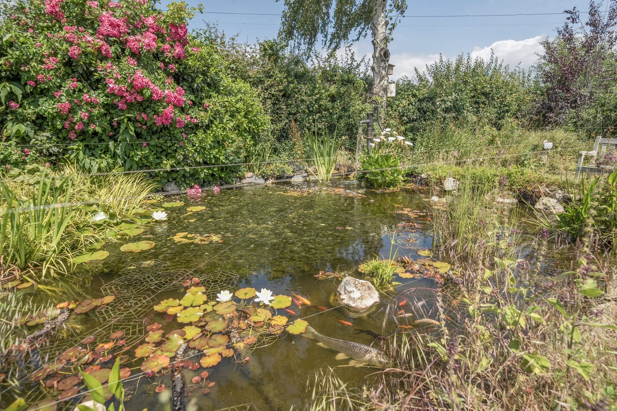 Actons Cottage, Buckholt Lane, Bexhill-on-Sea, TN39 5AX