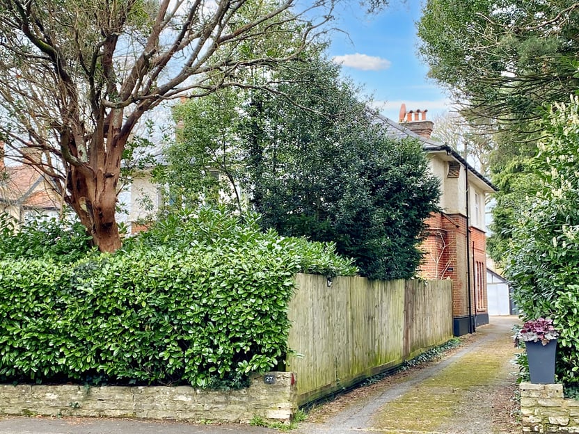 Image 11