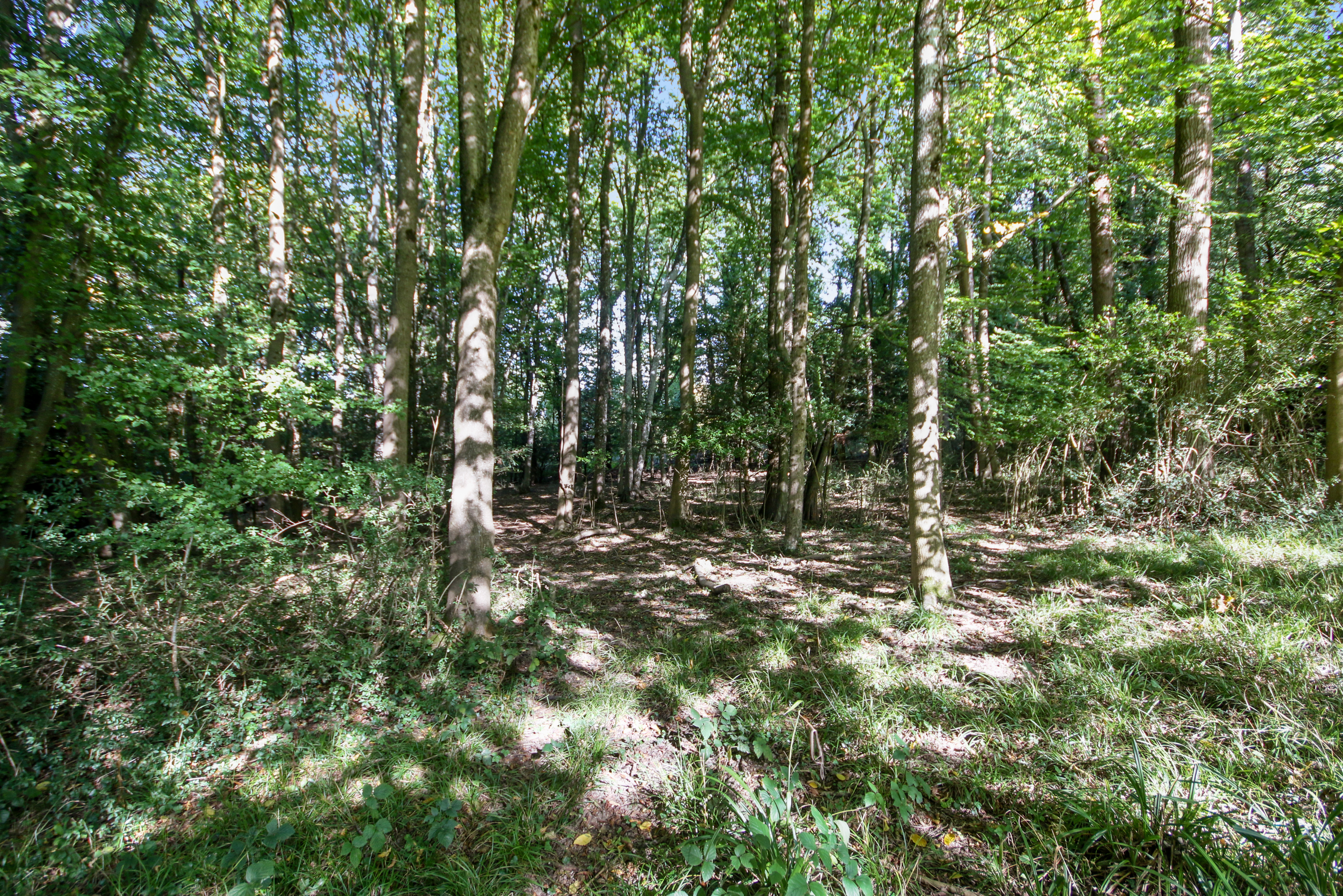 Byers Lane, South Godstone, Surrey