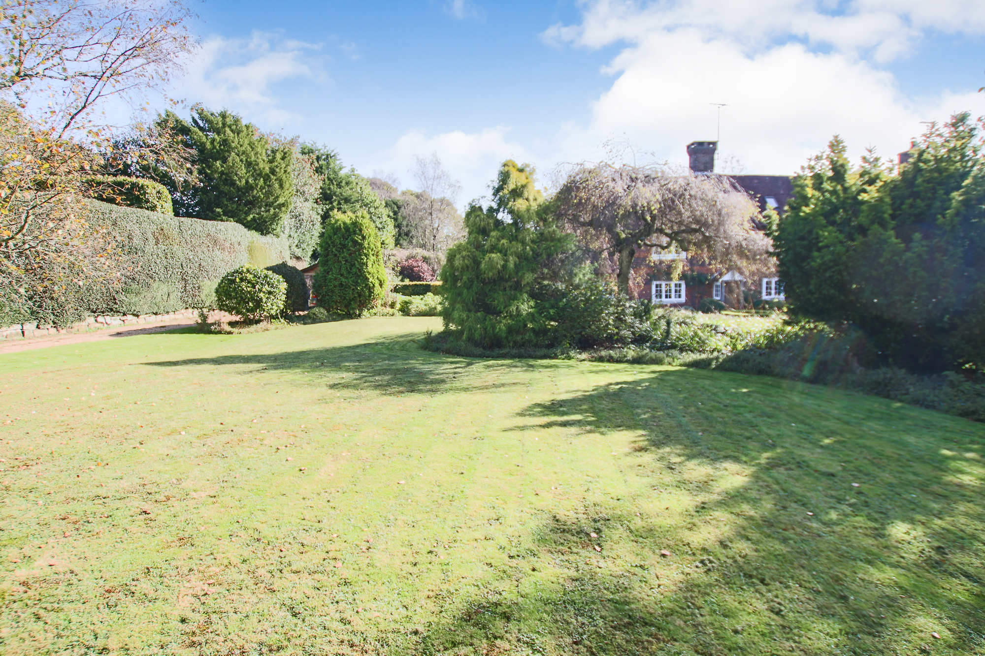 Selsfield Common, East Grinstead, West Sussex