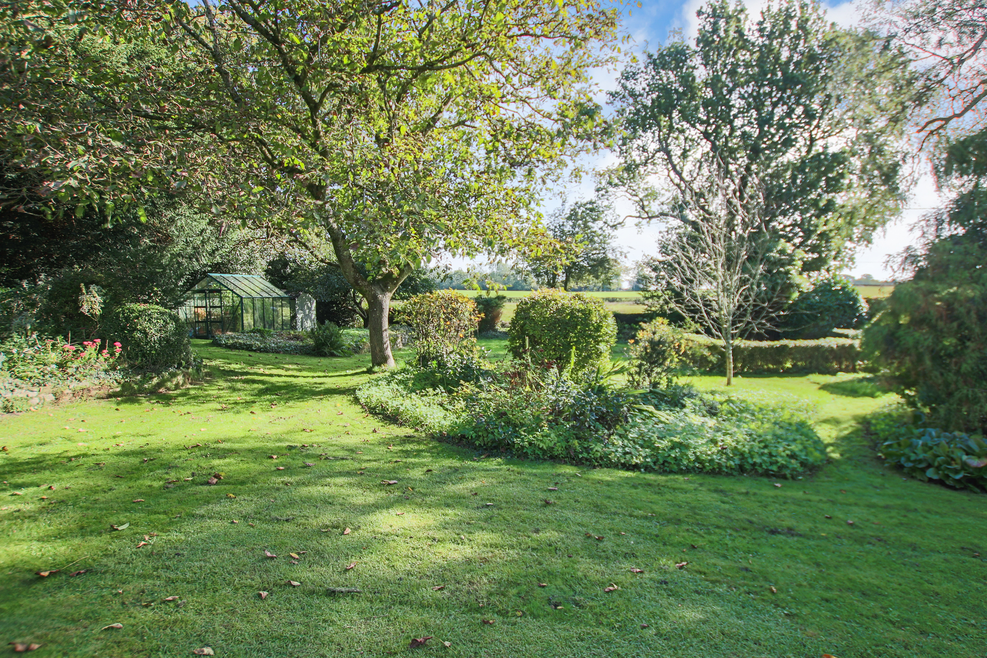 Selsfield Common, East Grinstead, West Sussex