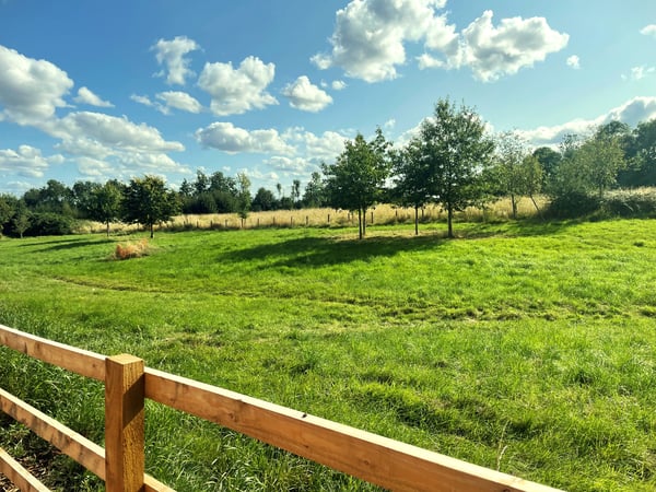 Woolf Grove, Milton Keynes, Buckinghamshire Image