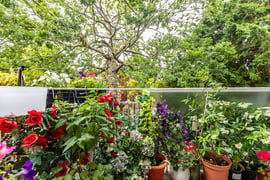 St Winifreds Court | Thumbnail