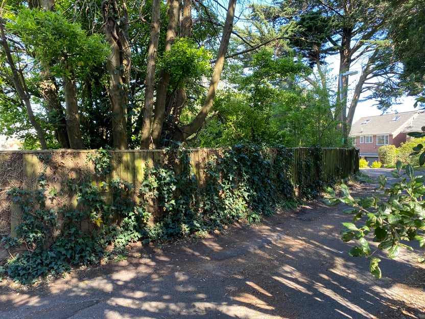 Image 24