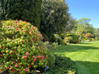 Thumb Image 15