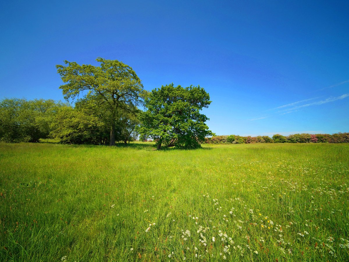 Priory Cottage, Pontefract Road, Pontefract, WF7 7EF