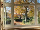 Thumb Image 4