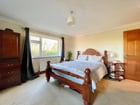 Thumb Image 11
