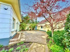 Thumb Image 13