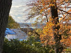 Thumb Image 6
