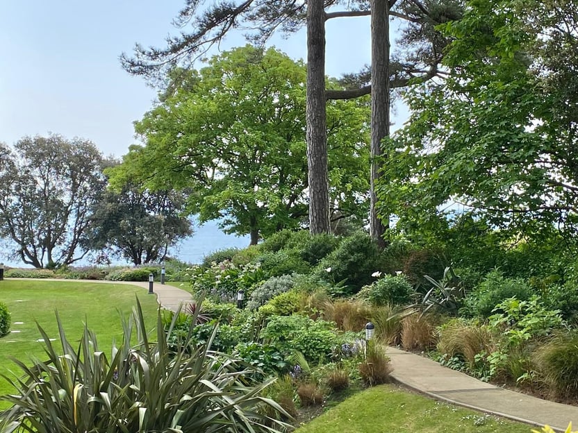 Image 12