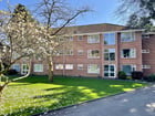 Thumb Image 16