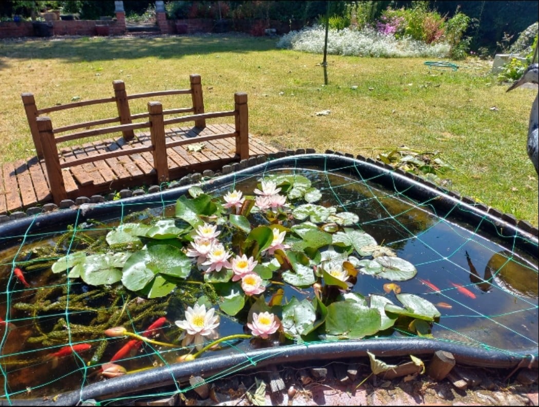 Queen Street, Retford, DN22 7BH