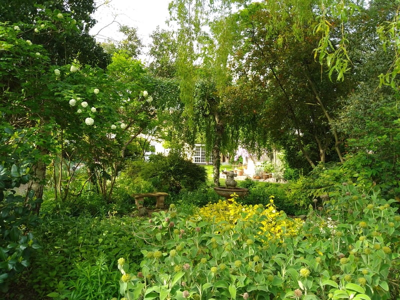 Property Image 48