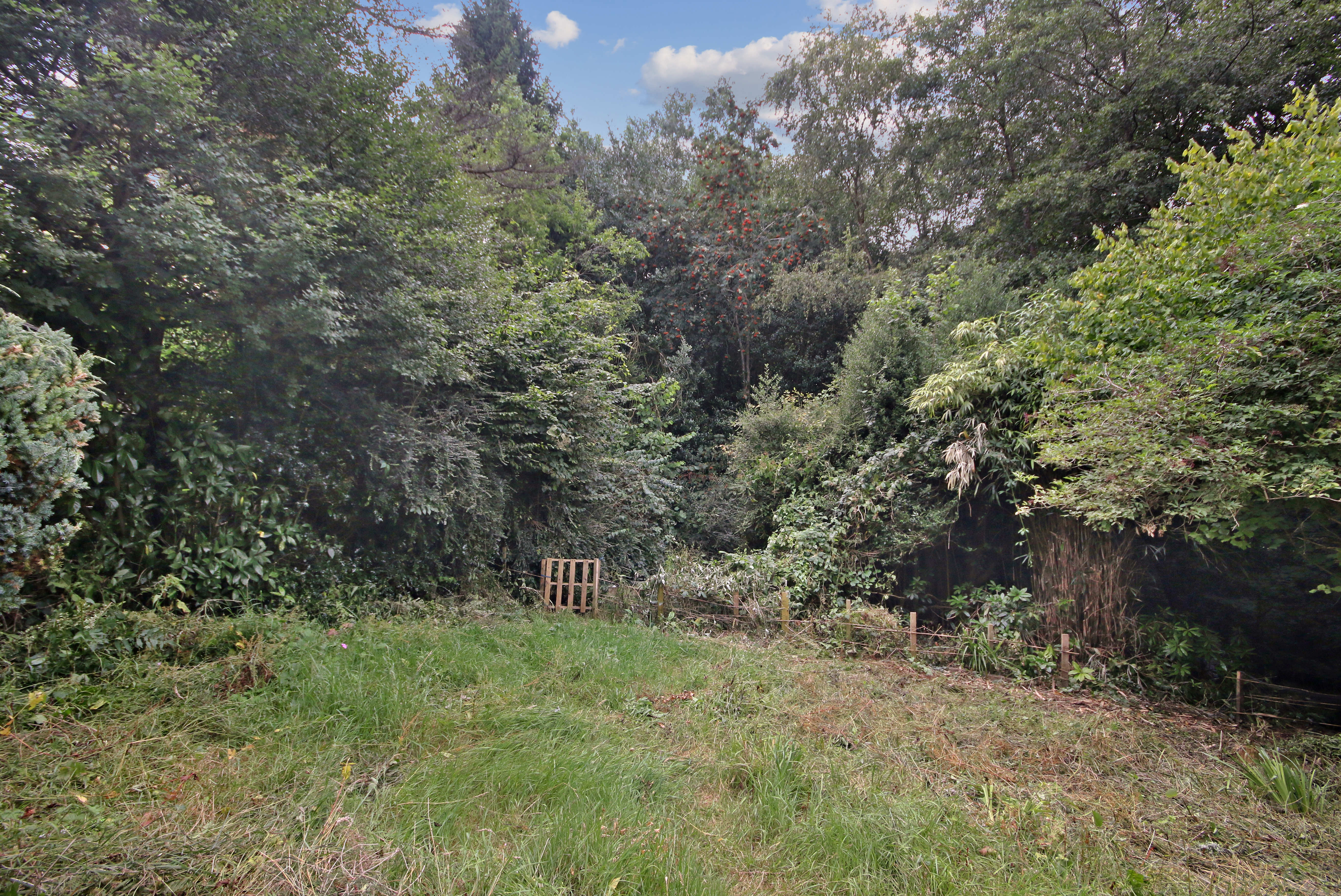 Freshfield Bank, Forest Row, East Sussex