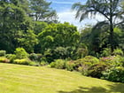 Thumb Image 14