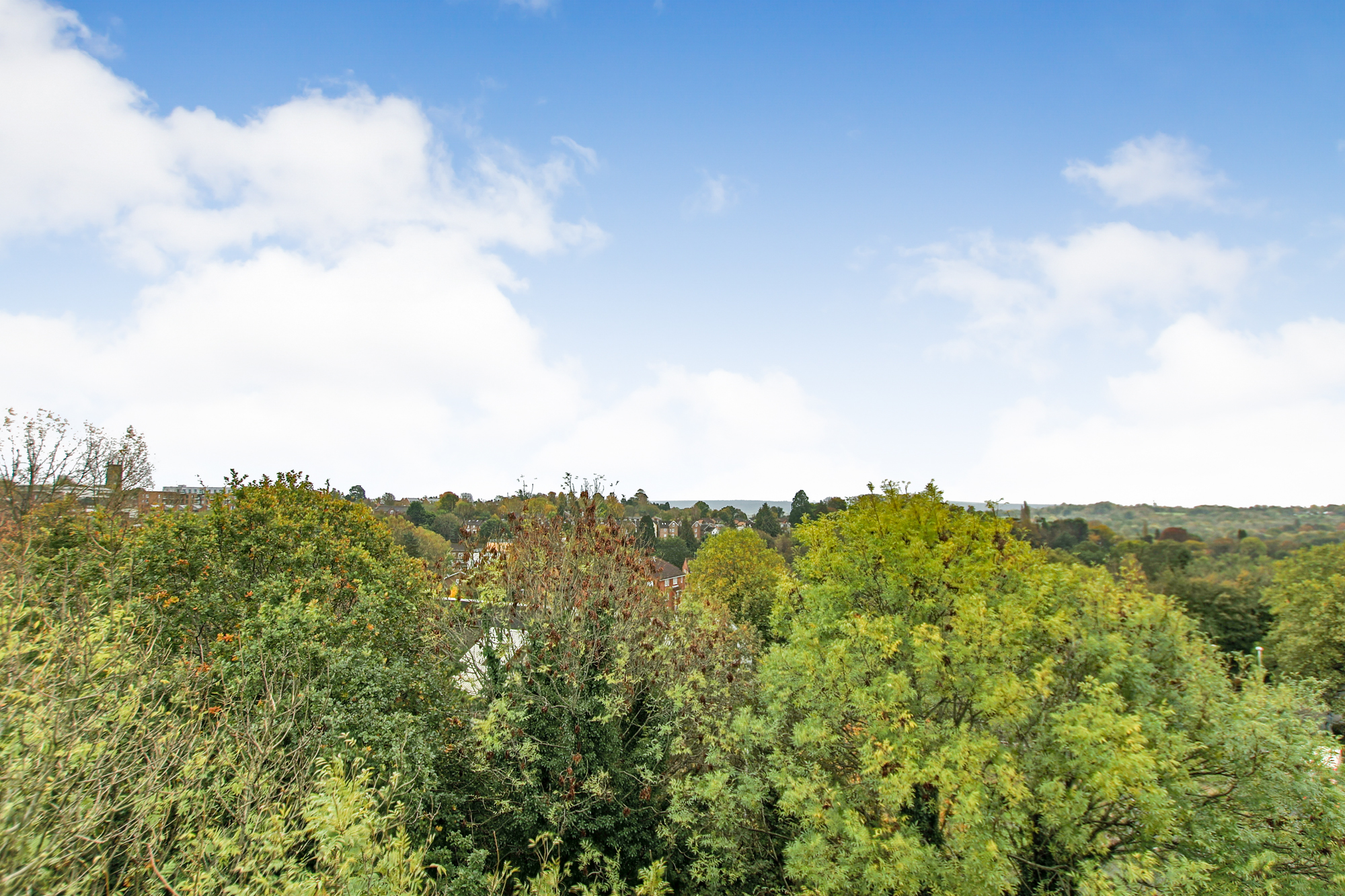 Wood Street, East Grinstead, West Sussex