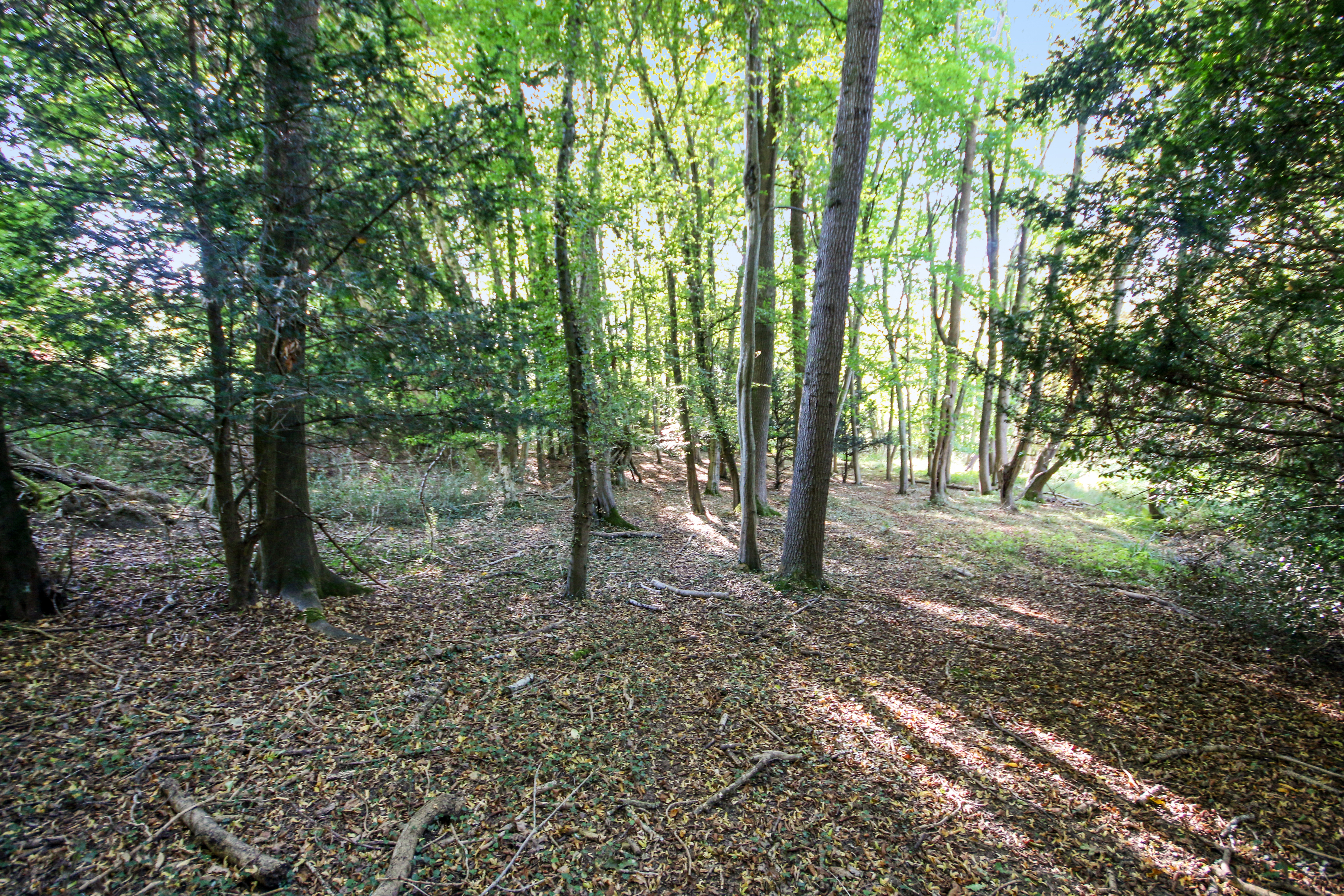 Byers Lane, South Godstone, Surrey