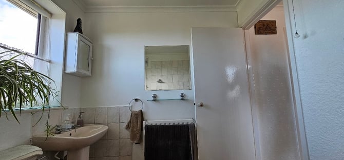 49042948