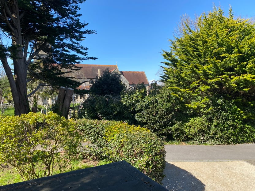 Image 22
