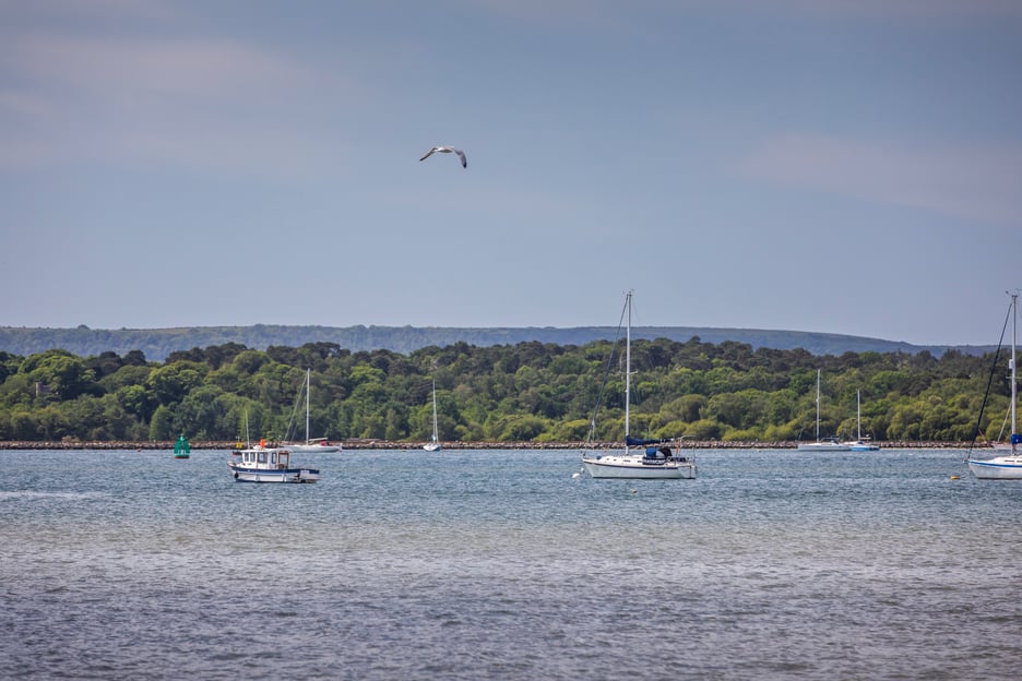 Image 25