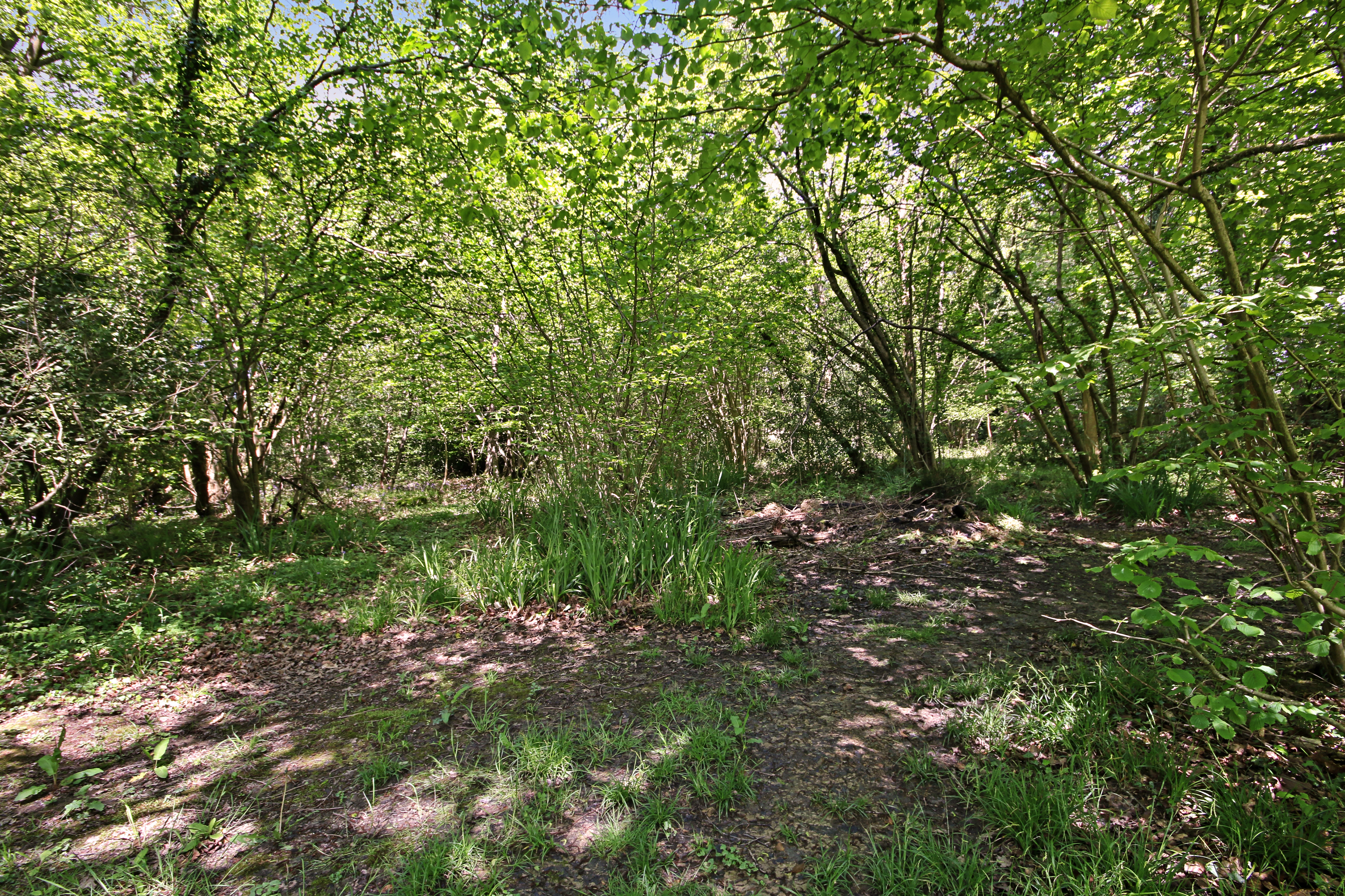 Lake View, East Grinstead, Surrey