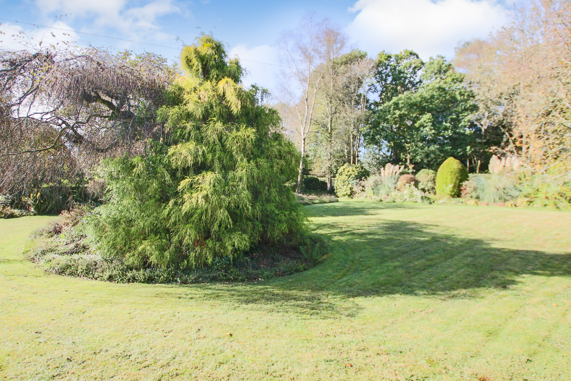 Selsfield Common, East Grinstead, West Sussex
