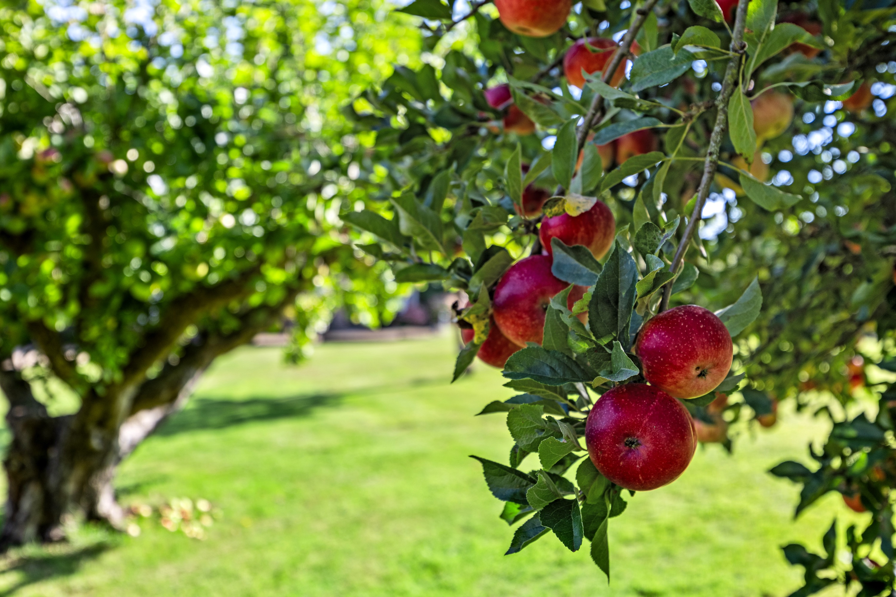 Lewes Road, East Grinstead, West Sussex